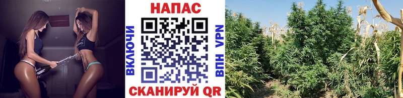 Купить закладку APVP Мефедрон ГАШ Галлюциногенные грибы Кокаин Канабис Новомичуринск