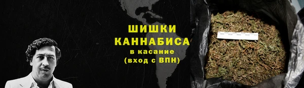 apvp Каменногорск