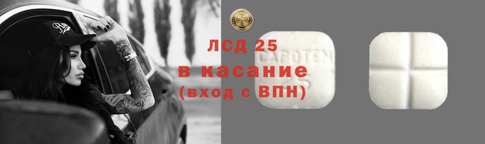 apvp Каменногорск