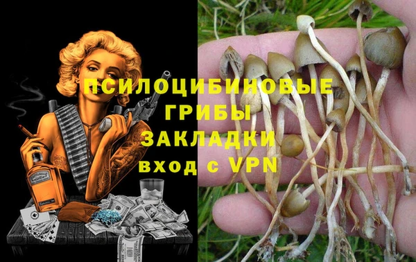 бошки Каменка