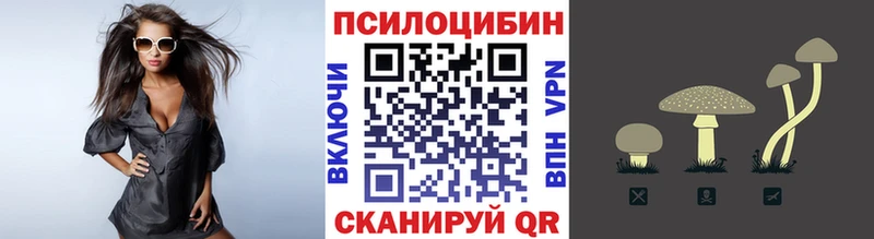 Купить где  Новомичуринск  Псилоцибиновые грибы Cubensis 